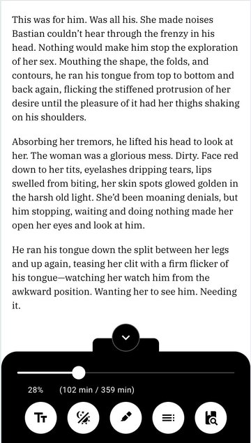 E-Reader screenshot
