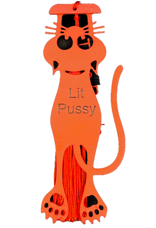 Lit Pussy